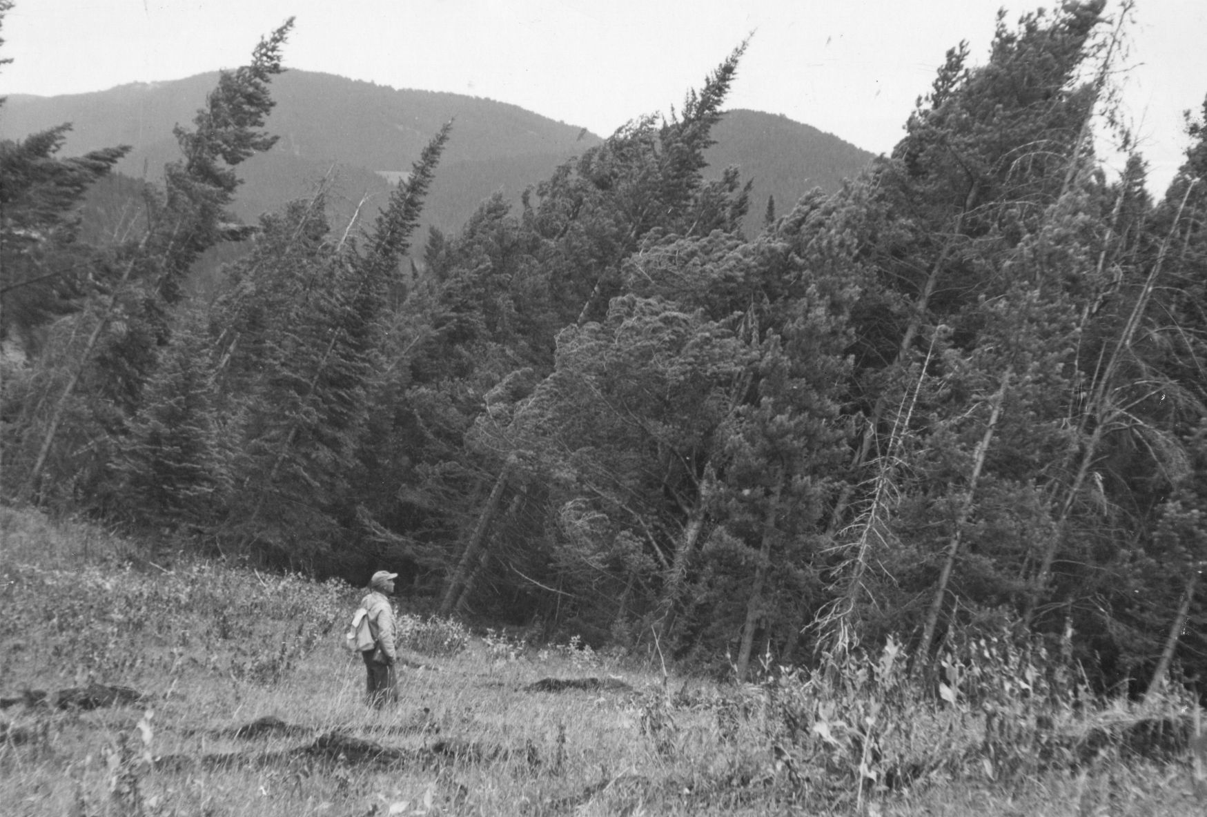 1959 Hebgen Lake earthquake